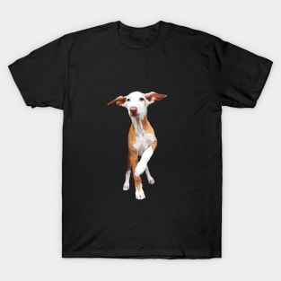 Podenco Dog Podenco Canario T-Shirt